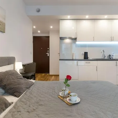 Апартаменты Zablocie 35 Studio Apartament Краков